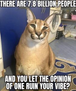 Stupid Bar Memes 6042ee7a0b8b2