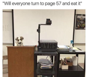 Stupid Bar Memes 60457f08ad1b8