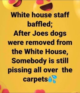 Stupid Bar Memes 604f5c9864546