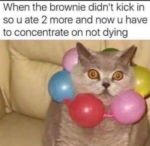 Stupid Bar Memes 604fab8e8278c