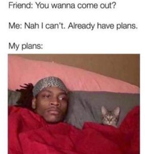 Stupid Bar Memes 604faf4b22a98