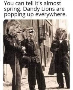 Stupid Bar Memes 604fd063f3faf