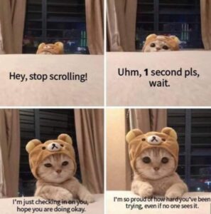 Stupid Bar Memes 60501e223a789