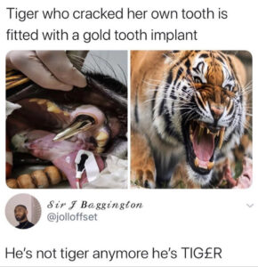 Stupid Bar Memes 60506862846f9