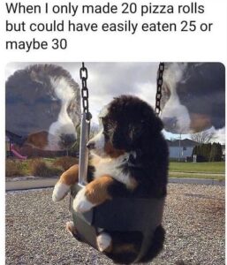 Stupid Bar Memes 6052337e4654b