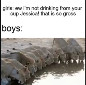 Stupid Bar Memes 60577addc3ca4