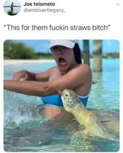 Stupid Bar Memes 60581a62214ad