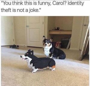 Stupid Bar Memes 605a2ea7e9bd4