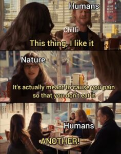 Stupid Bar Memes 605a35bdb15c0