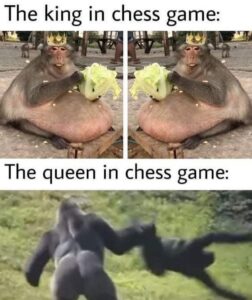 Stupid Bar Memes 605a3bc3615d4