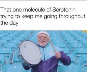Stupid Bar Memes 605a66ef28868
