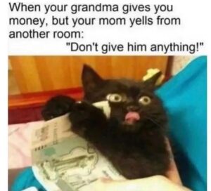 Stupid Bar Memes 605b835c2a5c4