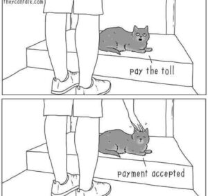 Stupid Bar Memes 605b9541a192b