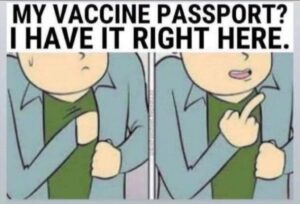 Stupid Bar Memes 6c3f1c444bf7a91b