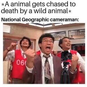 Stupid Bar Memes 86329415