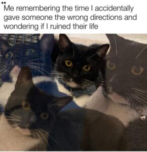 Stupid Bar Memes 86657443