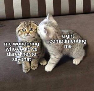 Stupid Bar Memes 86659170