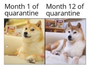 Stupid Bar Memes 86661418