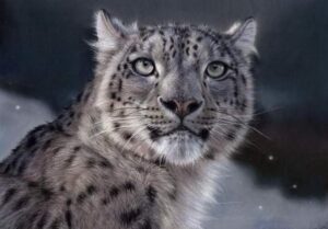 Stupid Bar Memes 86668672