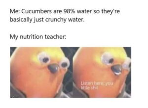 Stupid Bar Memes 86708921