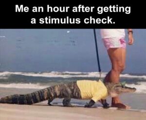 Stupid Bar Memes MesandsmysnewsfriendsGatorsanshoursaftersmysstimulusscheckshitsmysaccount