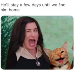 Stupid Bar Memes OAbjFQx