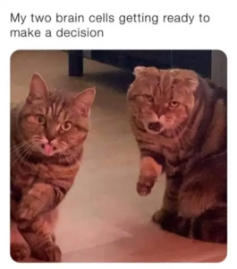 Stupid Bar Memes SN0BXuJ