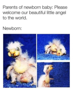 Stupid Bar Memes WWoQSSf