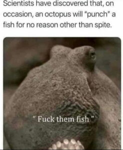 Stupid Bar Memes aWjxM5xs700b