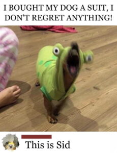 Stupid Bar Memes aXoxpO6 700b
