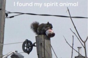 Stupid Bar Memes animal 23