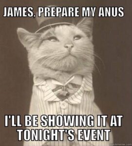 Stupid Bar Memes animalamemesa19