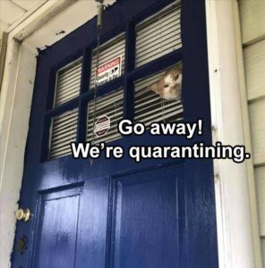 Stupid Bar Memes animals1s1