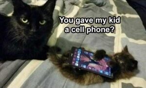 Stupid Bar Memes animalsa1
