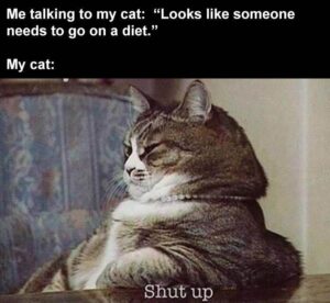 Stupid Bar Memes animalssbss54