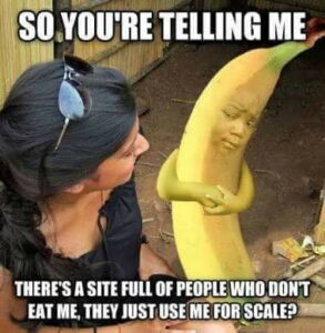 Stupid Bar Memes axM7Gyna700b
