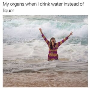 Stupid Bar Memes b4ad9d4825b82789