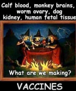 Stupid Bar Memes b52a45f1e1978381
