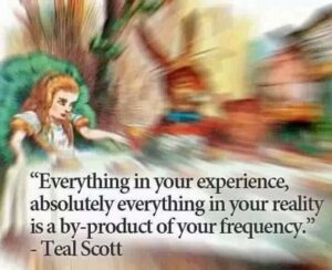 Stupid Bar Memes c6bbdcf15b1d69f0