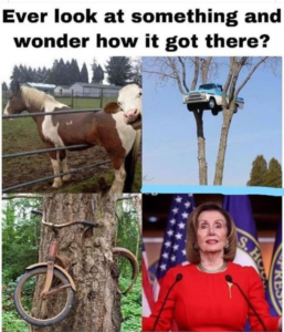 Stupid Bar Memes d3da4c27ef86e97a
