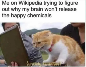 Stupid Bar Memes dailybarafternoonbarrandomnessbar49barphotosbar33bar15