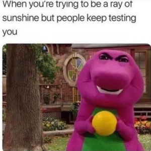Stupid Bar Memes dailysalesrandomnesss49sphotoss13