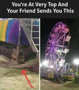 Stupid Bar Memes dailysalesrandomnesss49sphotoss33s18