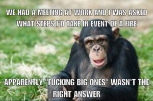 Stupid Bar Memes e3623615f76a1daf