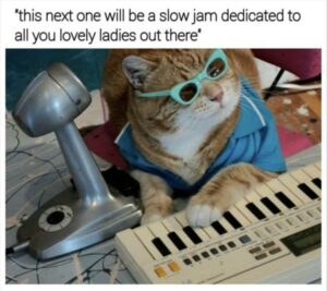 Stupid Bar Memes funny animal memes 13
