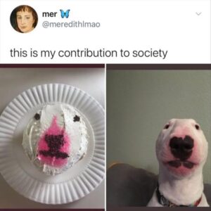 Stupid Bar Memes funny animal memes 7