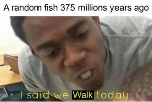 Stupid Bar Memes funny memes 15