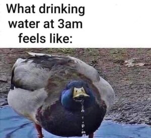 Stupid Bar Memes funny memes 2