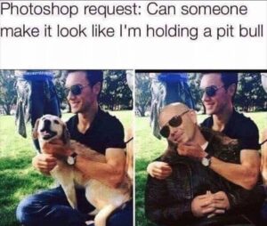 Stupid Bar Memes hfe974bdbf33