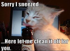 Stupid Bar Memes hfed16d7df13
